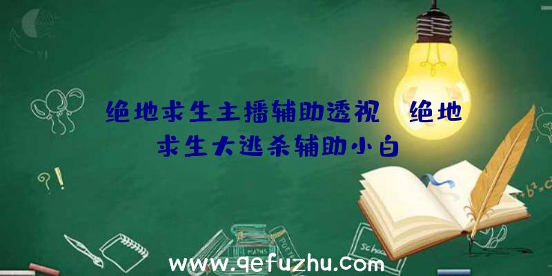 「绝地求生主播辅助透视」|绝地求生大逃杀辅助小白